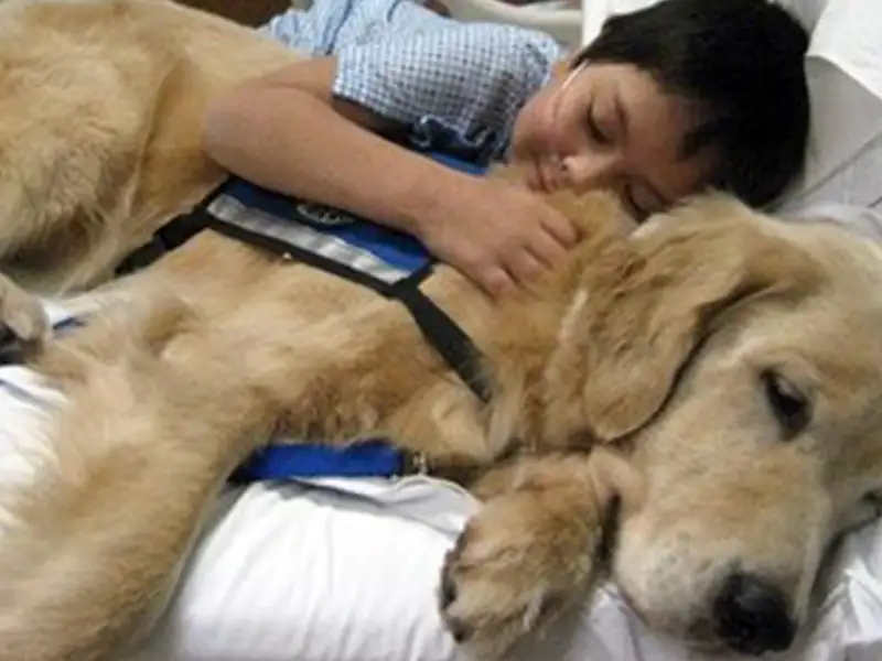 Asistencia con perros en pacientes pediátricos críticos