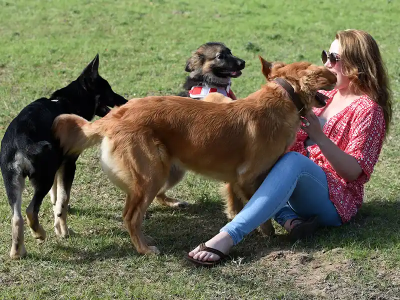 10 consejos para mejorar la relación con tu perro