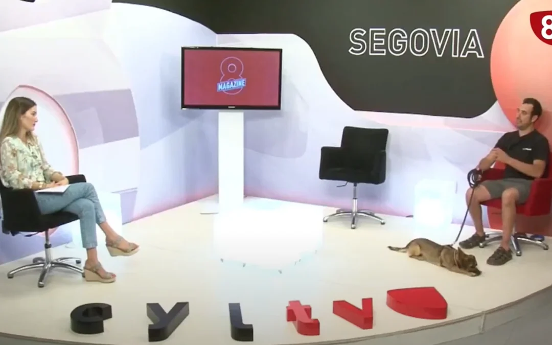 Presentando a Max, perro de la asociación animalejos en la 8 de Segovia.