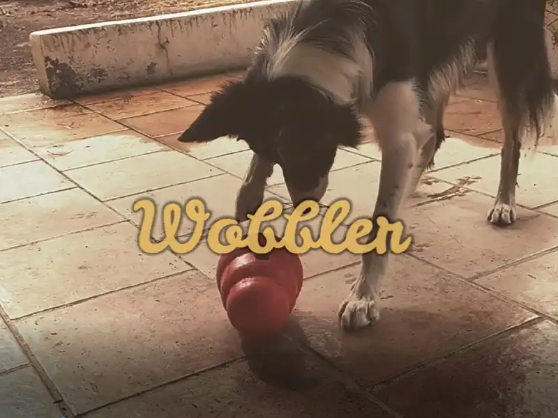 wobbler, juego de inteligencia para perros