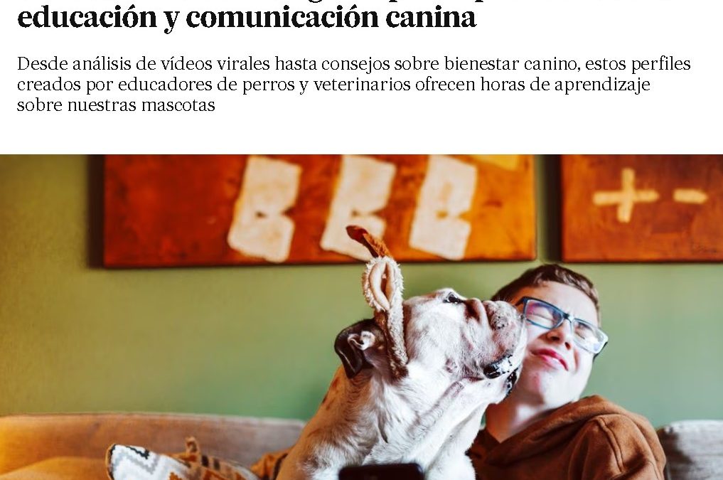¡Nos mencionan en El País!