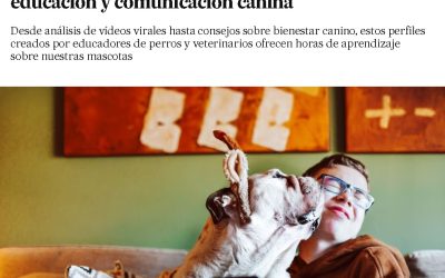 ¡Nos mencionan en El País!