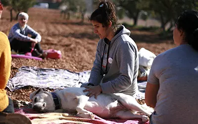 Terapias complementarias con Elena de Dogsanimal