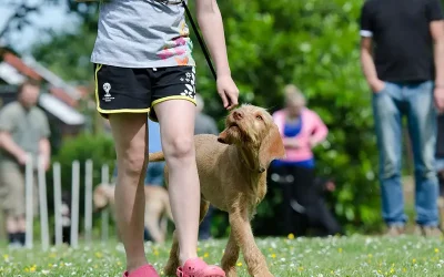 El mito de la dominancia